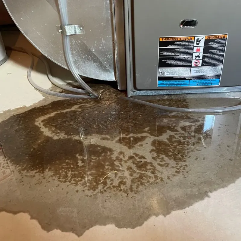 Pipe Burst and Leak Restoration in Liberal, KS